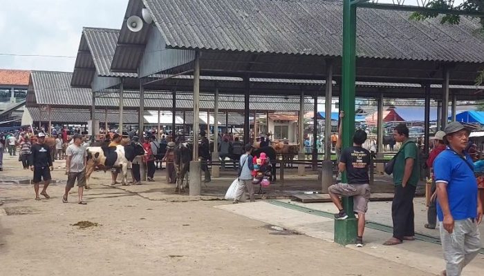 PMK Semakin Pengaruhi Aktivitas Pasar Hewan, Pengawasan Ditingkatkan