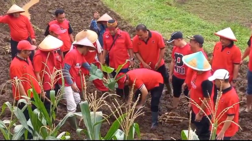pdip semarang