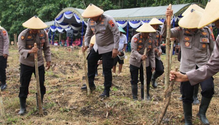 Dukung Program Ketahanan Pangan, Polres Blora Gelar Aksi Tanam Jagung bersama KTH