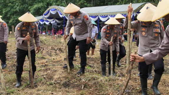 aksi tanam jagung