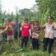 sumanto budidaya jagung karanganyar