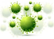 virus HMPV