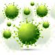 virus HMPV