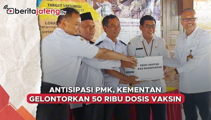 Video Antisipasi PMK, Kementan Gelontorkan 50 Ribu Dosis Vaksin
