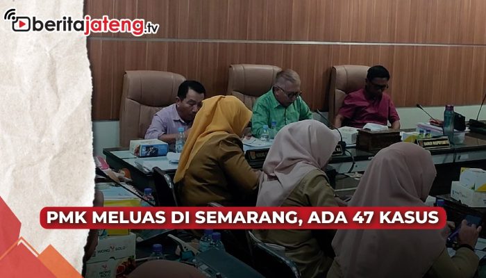 Video PMK Meluas di Semarang, Ada 47 Kasus Hewan Ternak Terkena