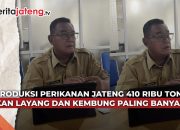 Video Produksi Perikanan Jateng Tembus 410 Ribu Ton, Ikan Layang dan Kembung Paling Banyak
