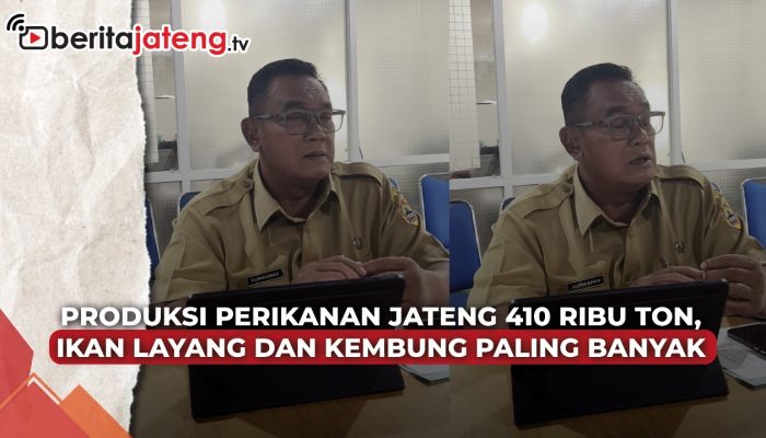 Video Produksi Perikanan Jateng Tembus 410 Ribu Ton, Ikan Layang dan Kembung Paling Banyak