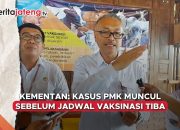 kasus PMK Jateng