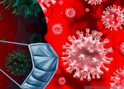 Ilustrasi virus HMPV. (ant)