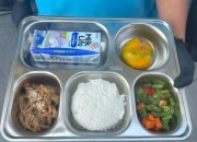 makan bergizi gratis