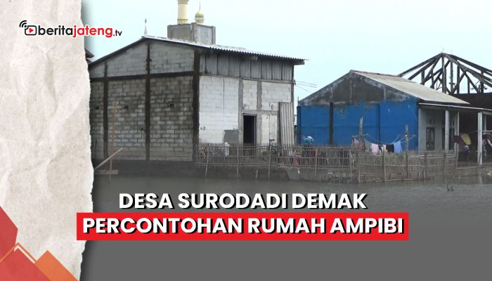Video Desa Surodadi Demak Percontohan Rumah Ampibi