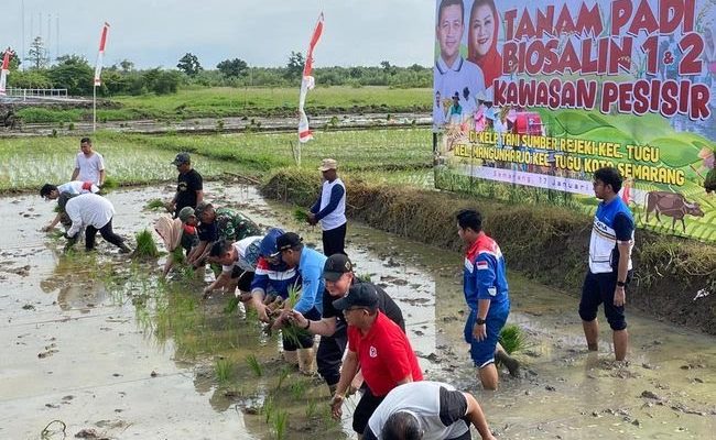 Kolaborasi BRIN dan Pemkot Semarang Wujudkan Swasembada Pangan Berkelanjutan
