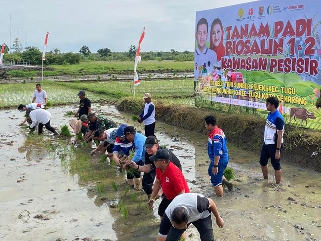 Kolaborasi BRIN dan Pemkot Semarang Wujudkan Swasembada Pangan Berkelanjutan