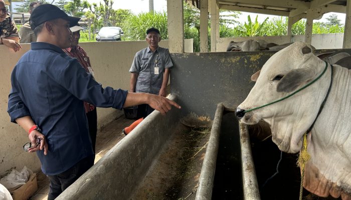 Sumanto: Keberadaan Taman Ternak Dukung Posisi Jateng Lumbung Pangan Nasional
