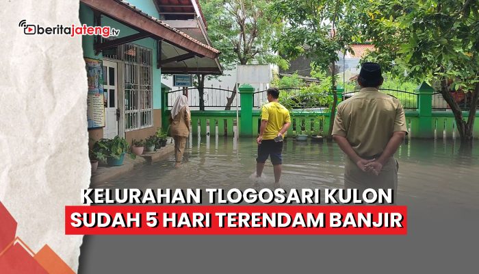 Video Kelurahan Tlogosari Kulon Semarang Sudah 5 Hari Terendam Banjir