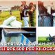 panen perdana Blora