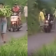Pisang Pati Pisang