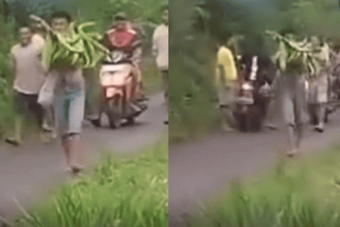 Pisang Pati Pisang