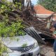 pohon tumbang semarang
