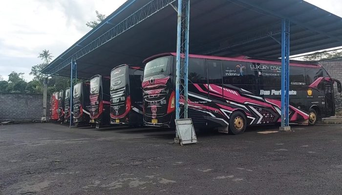 Cerita Juragan Bus Siasati Dampak Efisiensi Anggaran di Pemerintahan, Omset Turun Hingga Awak Bus Alih Profesi