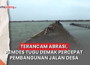 Video Terancam Abrasi, Pemdes Tugu Demak Percepat Pembangunan Jalan Desa