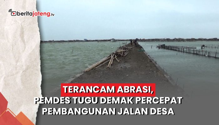 Video Terancam Abrasi, Pemdes Tugu Demak Percepat Pembangunan Jalan Desa