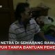 tuna netra rawat anak lumpuh