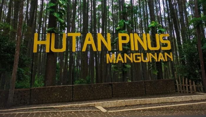 Daftar Destinasi Wisata Populer yang Menyimpan Kisah Mistis Menyeramkan, Mayoritas di Pulau Jawa