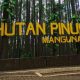 Destinasi wisata Hutan Pinus Mangunan