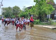 BPBD: Lima Kecamatan di Semarang Terdampak Bencana Hidrometrologi