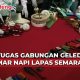 razia lapas semarang