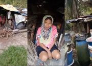 Viral Wanita Batang Tinggal Sendirian di Hutan Malaysia, BP3MI Jateng Pastikan Pemulangan ke Indonesia