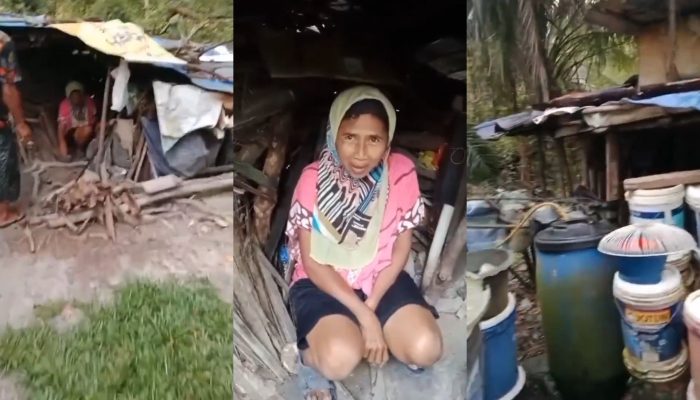 Viral Wanita Batang Tinggal Sendirian di Hutan Malaysia, BP3MI Jateng Pastikan Pemulangan ke Indonesia