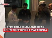 HW Tiger Club Semarang