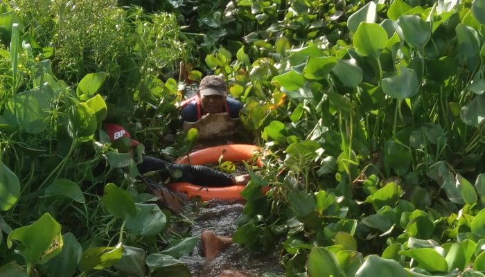 Cerita Relawan Selamatkan Lansia Difabel yang Terjebak Eceng Gondok