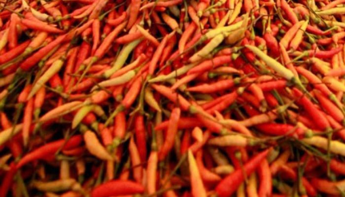 Jelang Pekan Terakhir Ramadan, Harga Cabai Rawit di Kabupaten Semarang Tembus Rp100 Ribu per Kg