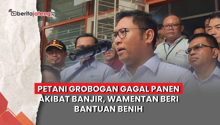 Video Petani Grobogan Gagal Panen Gegara Banjir, Wamentan Janjikan Bantuan Benih