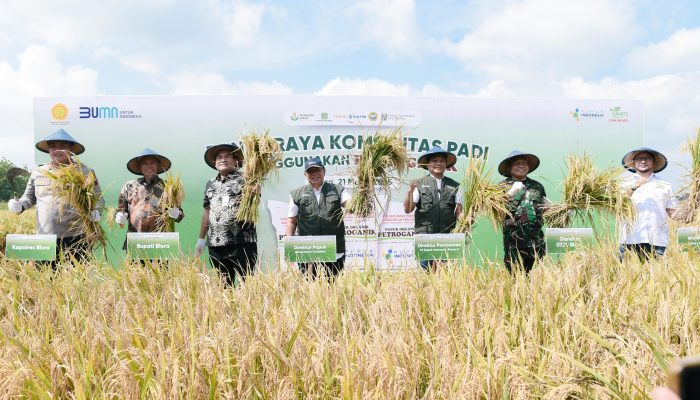 Panen Raya di Kabupaten Blora, Pupuk Bersubsi Petroganik Bantu Dongkrak Produktivitas Padi