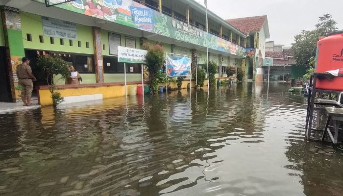Luapan Sungai Tuntang Grobogan Sampai ke Semarang, SDN Tambakrejo 01 Banjir 20 Sentimeter