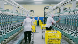 Daftar Perusahaan di Jateng yang Buka Loker Besar-besaran untuk Pegawai Sritex, Ada 10 Ribu Lebih Posisi