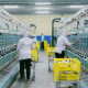 PT Duniatex Group (Sukoharjo).
