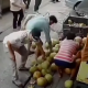 satpol pp video viral