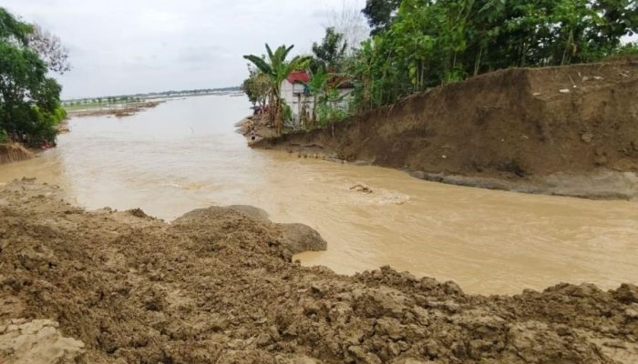Curah Hujan Tinggi, Tanggul Sungai Tuntang Grobogan Jebol Lagi Sebelum Perbaikan Rampung