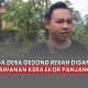 teror kera ekor panjang