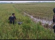 Polisi Bubarkan Aksi Balap Liar di Blora, Puluhan Pemuda Kocar-kacir