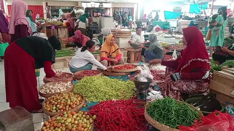 harga cabai melonjak