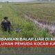 balap liar Blora