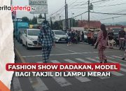 Video Fashion Show Dadakan, Model Bagi Takjil di Lampu Merah Ungaran