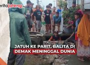 Video Jatuh di Parit, Balita di Demak Meninggal Dunia