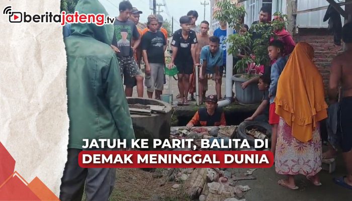 Video Jatuh di Parit, Balita di Demak Meninggal Dunia